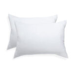 Pegasus Home Fashions Ez Dreams Microfiber Pillow, Queen, 2-Pack