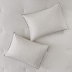 Isla 8 Piece Cotton Floral Printed Reversible Queen Comforter Set (Blush) - Image 7