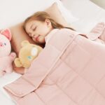 Microfiber Weighted Blanket (10lb)