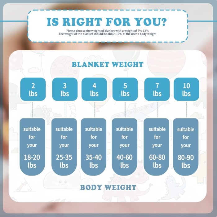 Microfiber Weighted Blanket (10lb) - Image 5