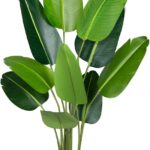 Faux Botanical - Bird of Paradise Plant - 5.2Ft (62 inches)