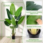 Faux Botanical - Bird of Paradise Plant - 5.2Ft (62 inches) - Image 3