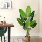 Faux Botanical - Bird of Paradise Plant - 5.2Ft (62 inches) - Image 5